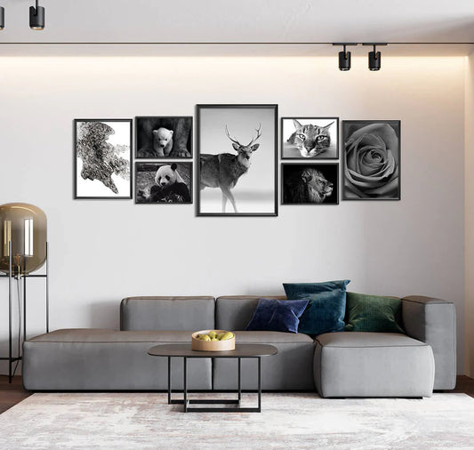 Attractive Animals in Black&White Collection (7 Frames)